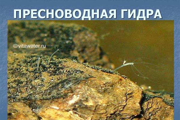 Дарк маркетплейс кракен