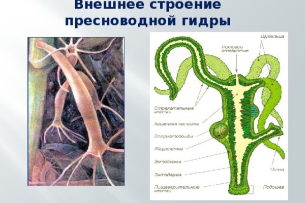 Не могу зайти на сайт кракен