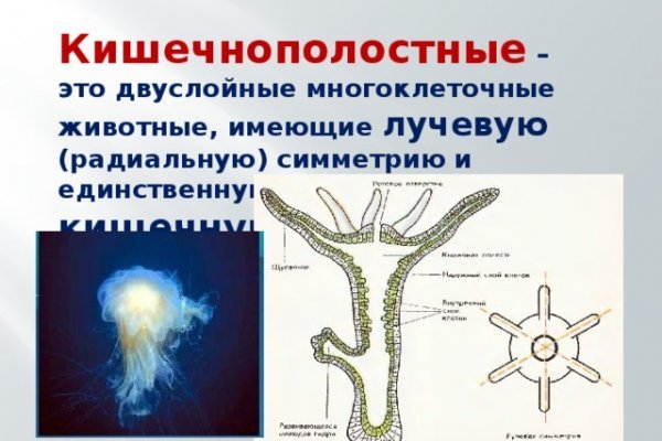 Кракен браузер ссылка